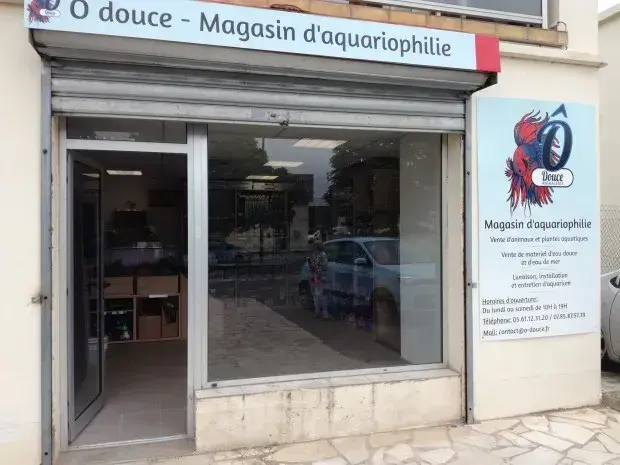 Ô douce aquariophilie