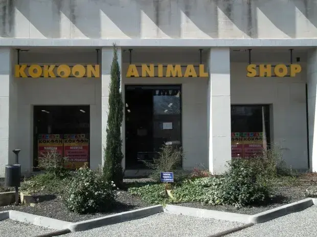 Kokoon Animal Shop