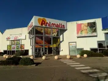 Animalis Avignon