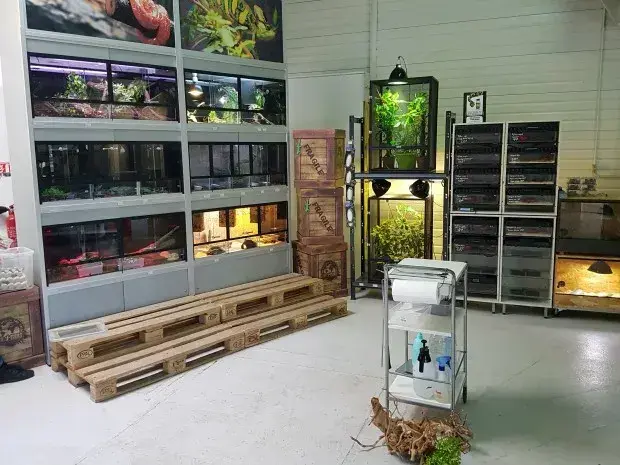 Animaux Exotiques