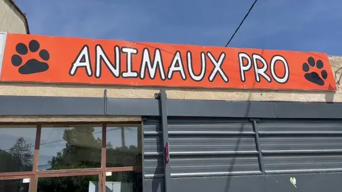 Animaux pro