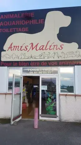 Amismalins